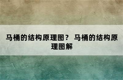 马桶的结构原理图？ 马桶的结构原理图解